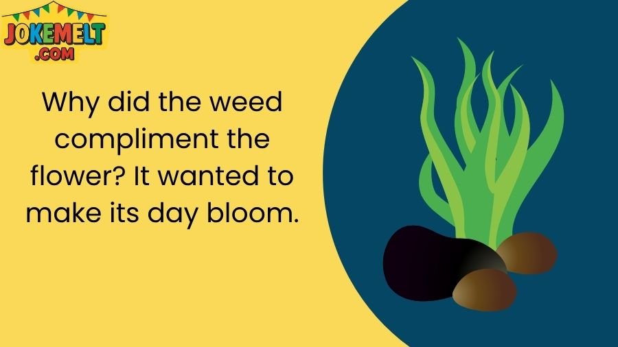Weed Jokes