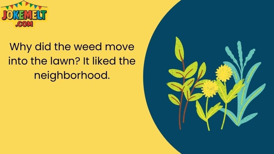 Weed Jokes