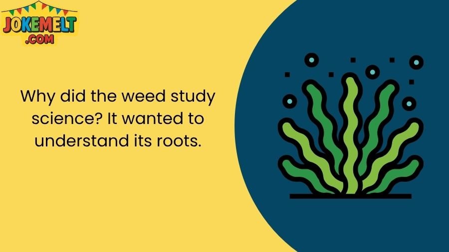 Weed Jokes