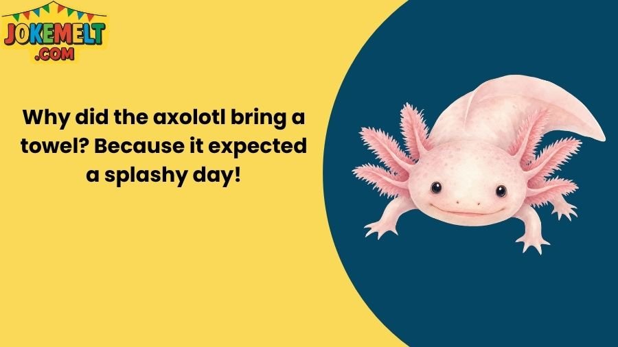 Axolotl Jokes