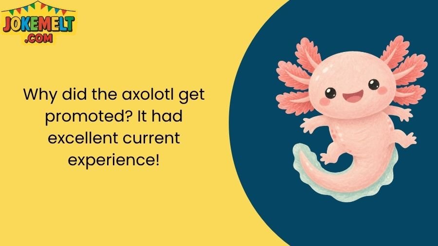 Axolotl Jokes