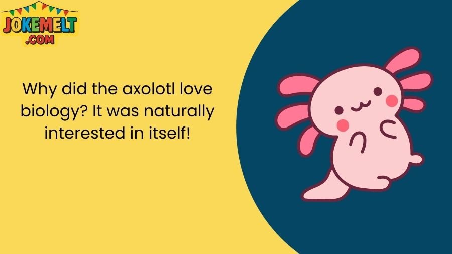 Axolotl Jokes