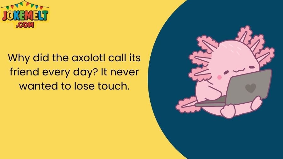 Axolotl Jokes