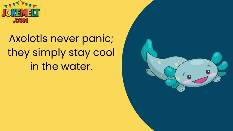 Axolotl Jokes