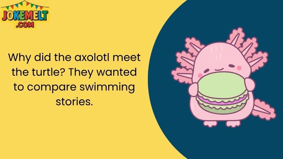 Axolotl Jokes