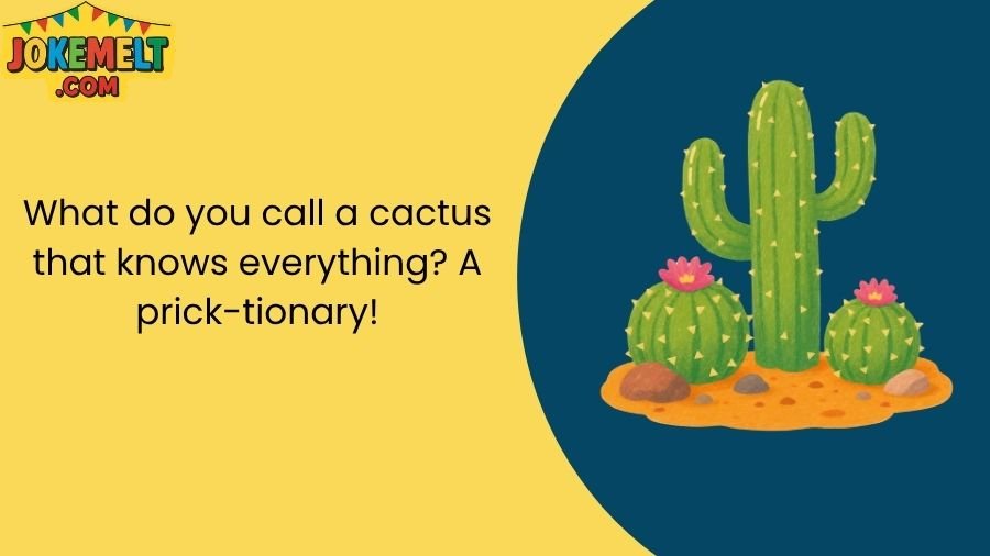 Cactus Jokes