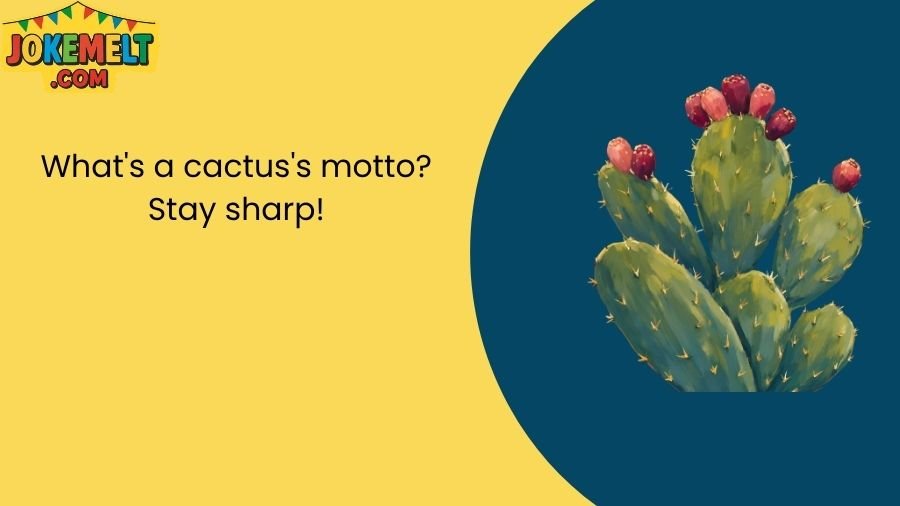 Cactus Jokes
