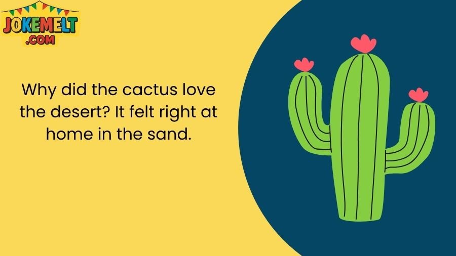 Cactus Jokes