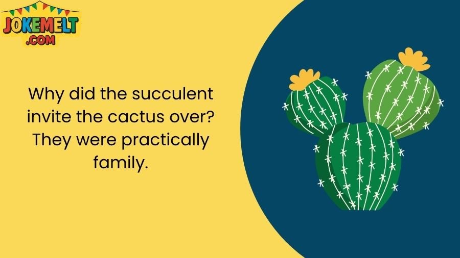 Cactus Jokes
