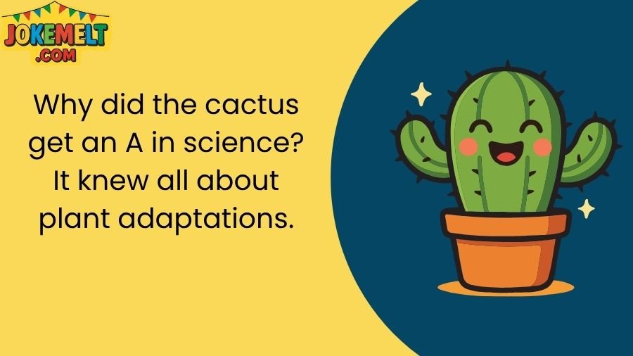Cactus Jokes