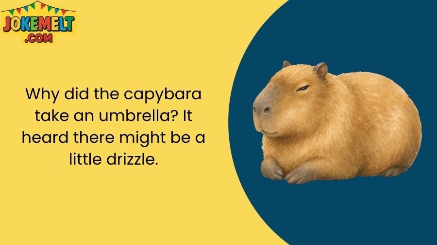 Capybara Jokes