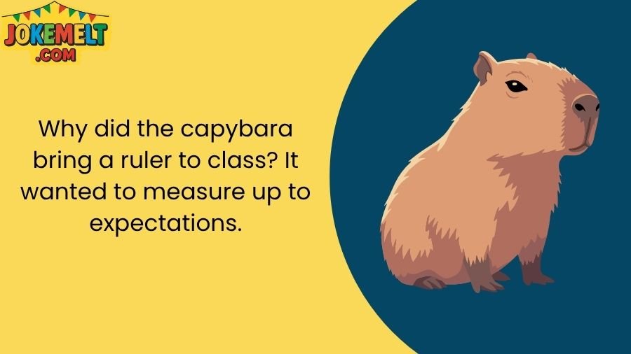 Capybara Jokes