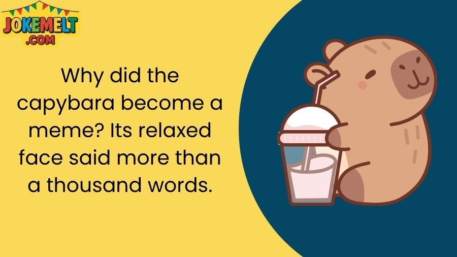 Capybara Jokes