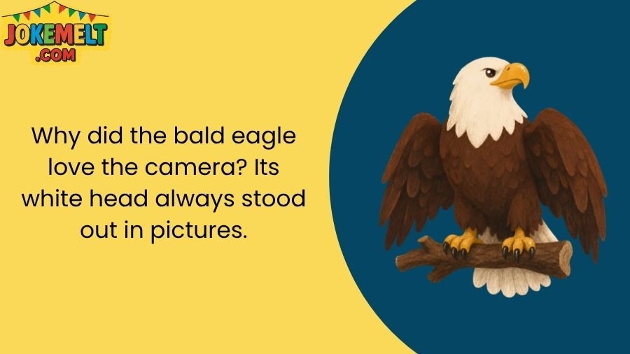 Eagle Jokes