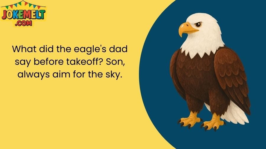 Eagle Jokes