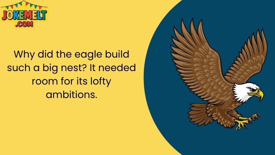 Eagle Jokes