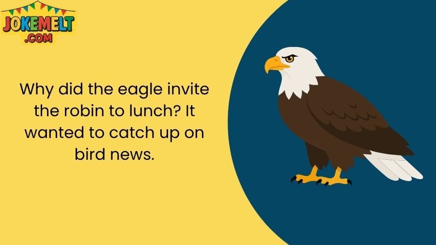 Eagle Jokes