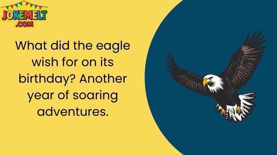 Eagle Jokes