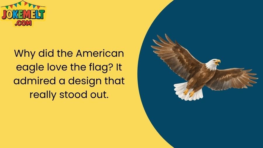 Eagle Jokes