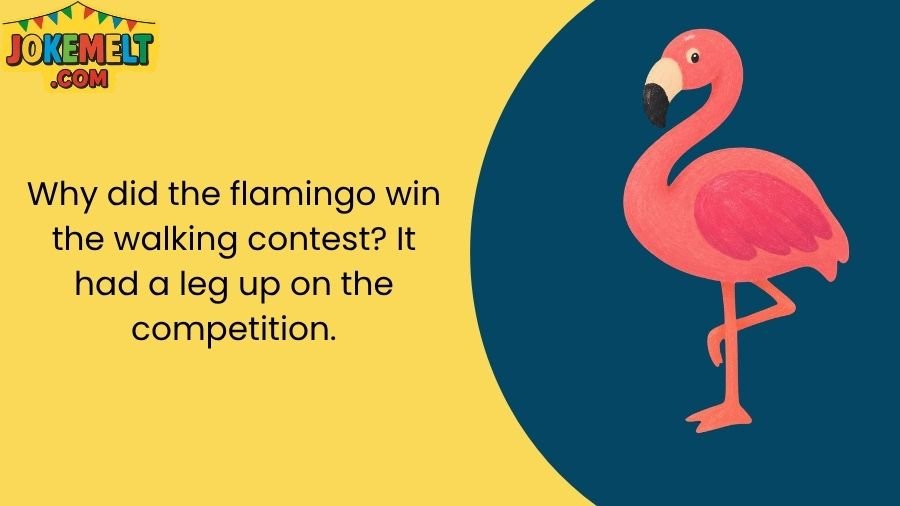 Flamingo Jokes