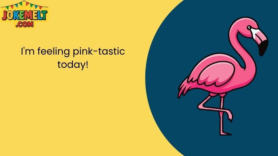 Flamingo Jokes