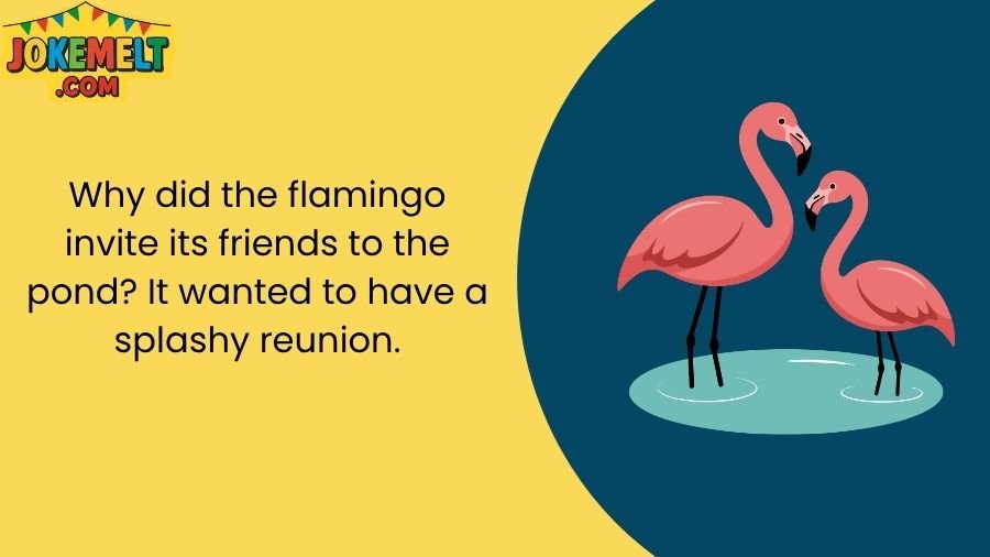 Flamingo Jokes