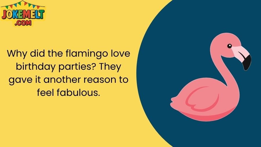 Flamingo Jokes