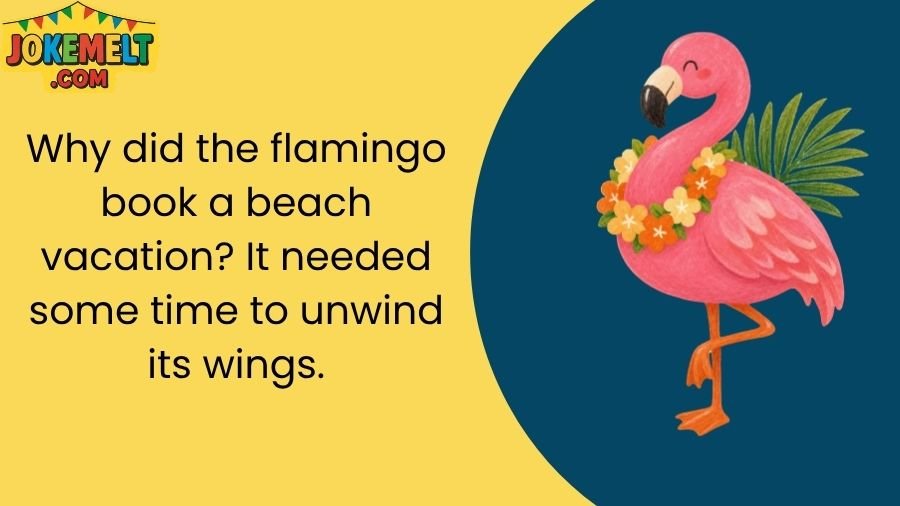 Flamingo Jokes
