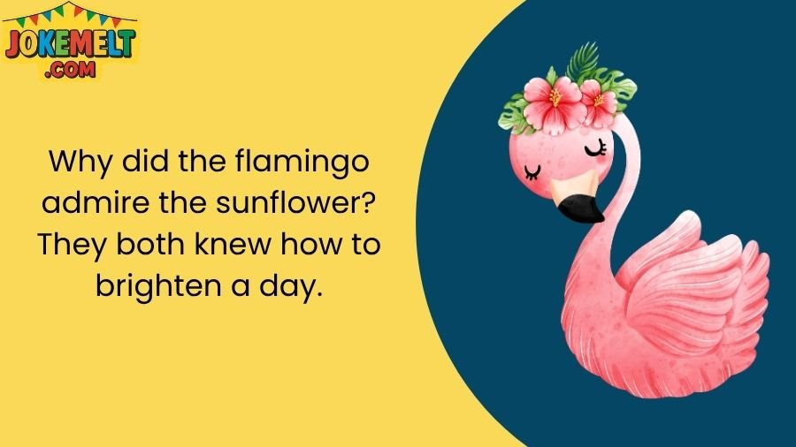Flamingo Jokes