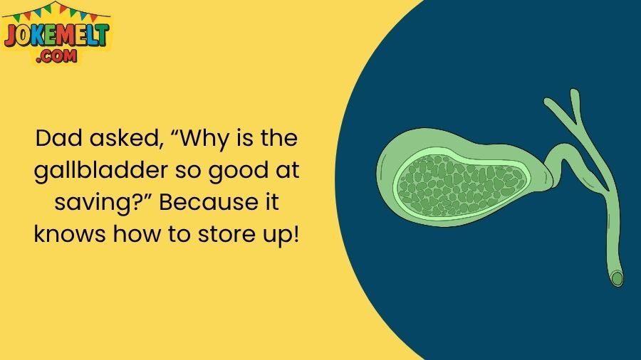 Funny Gallbladder Jokes