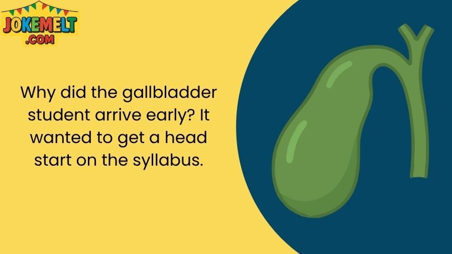 Funny Gallbladder Jokes