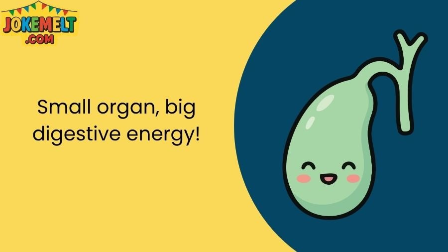 Funny Gallbladder Jokes