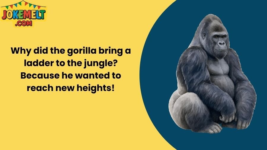 Gorilla Jokes