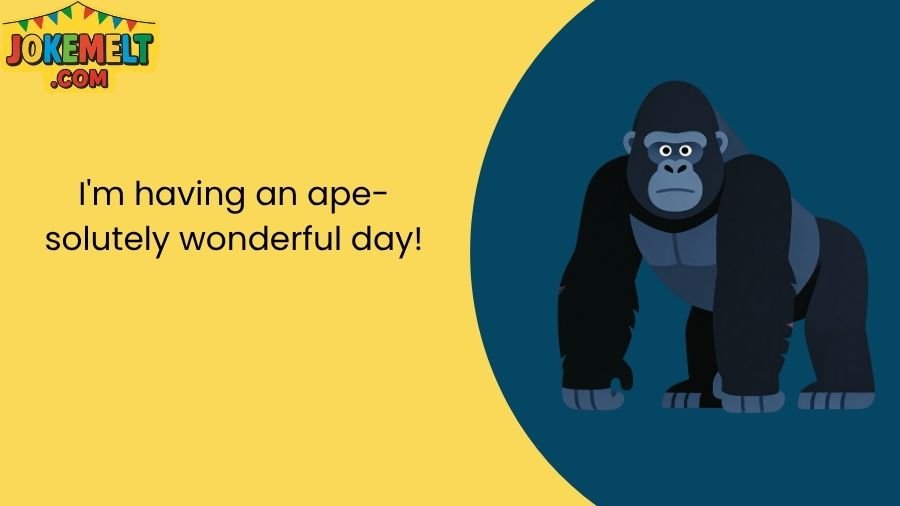 Gorilla Jokes