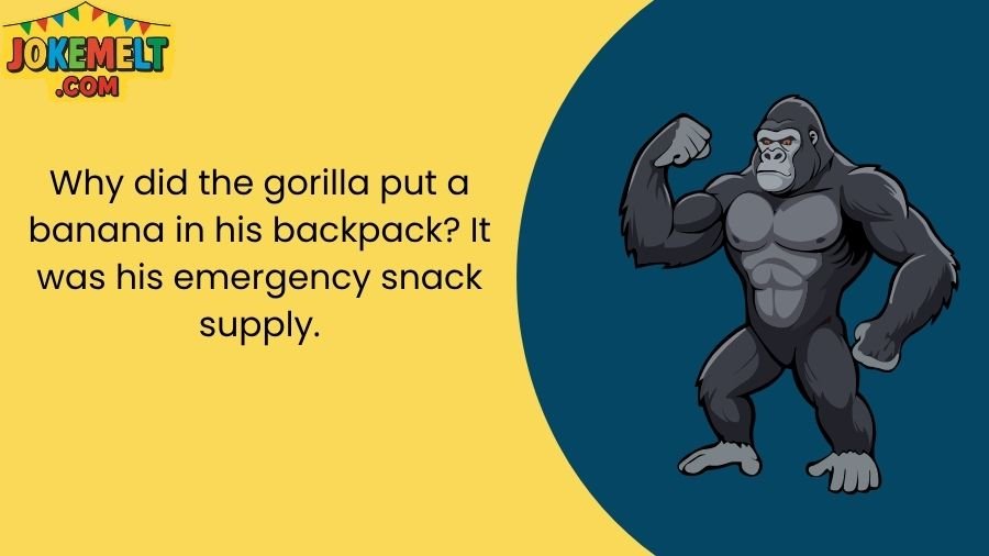 Gorilla Jokes