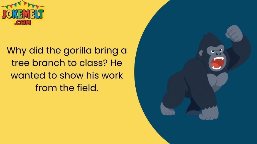 Gorilla Jokes