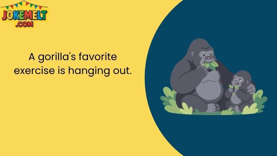 Gorilla Jokes