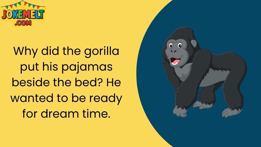 Gorilla Jokes