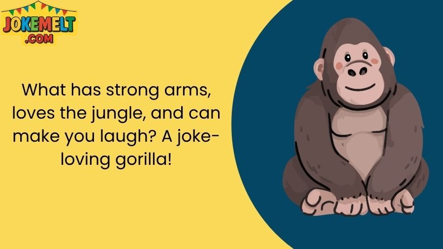 Gorilla Jokes