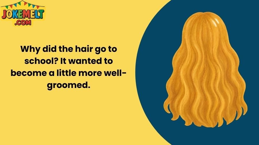 Hair Jokes