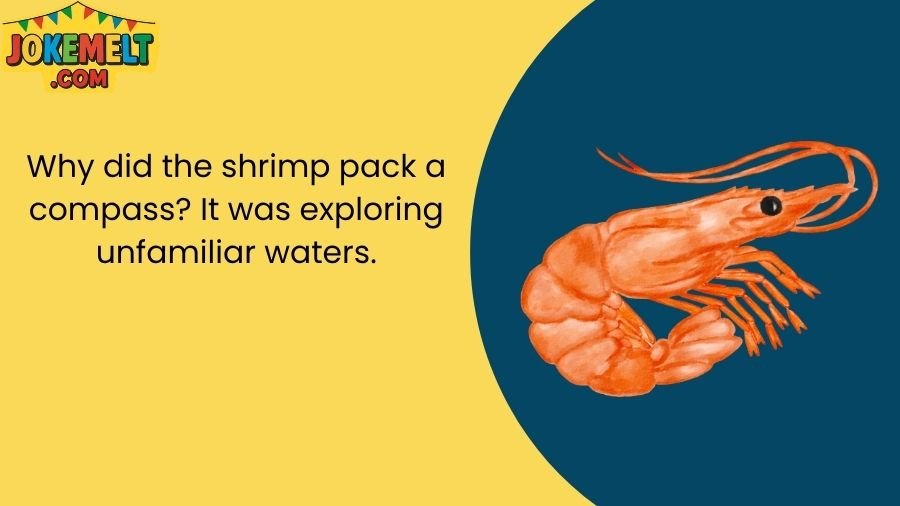 Shrimp Jokes