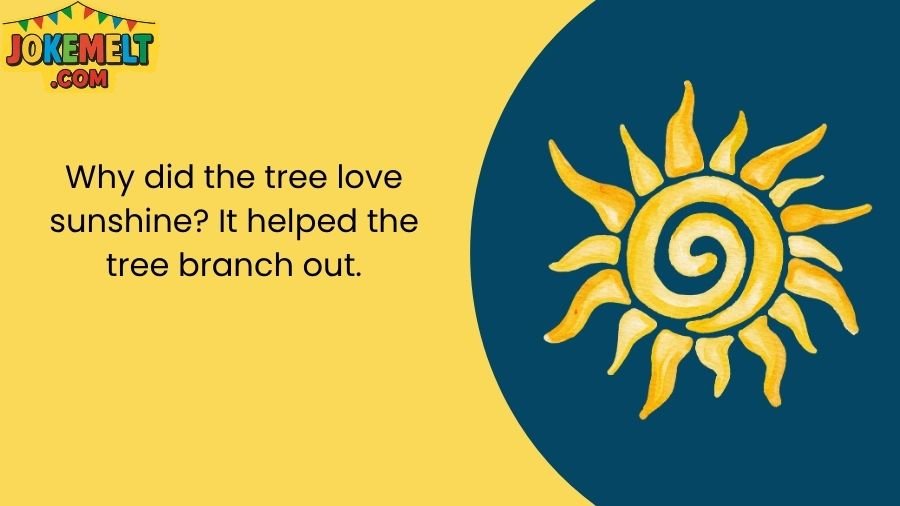 Sunshine Jokes